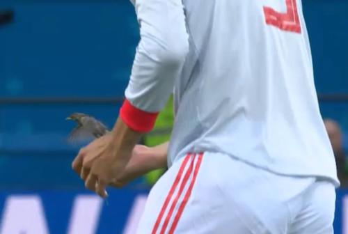 Top2 - Piqué e o passarinho